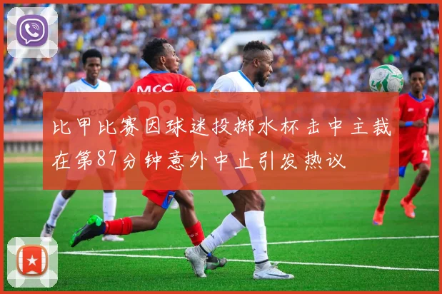 比甲比赛因球迷投掷水杯击中主裁在第87分钟意外中止引发热议