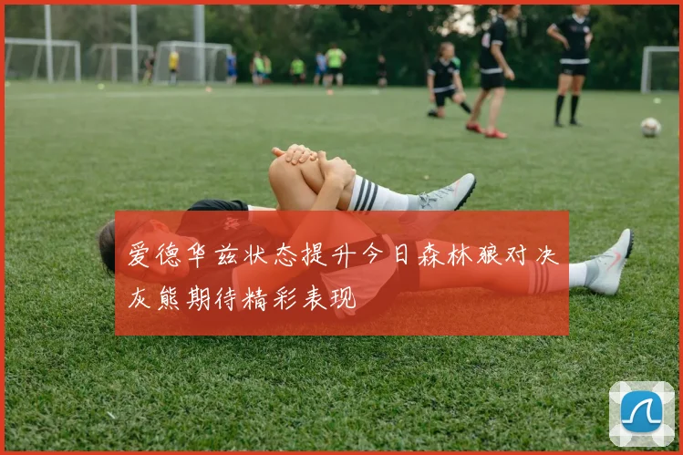 爱德华兹状态提升今日森林狼对决灰熊期待精彩表现